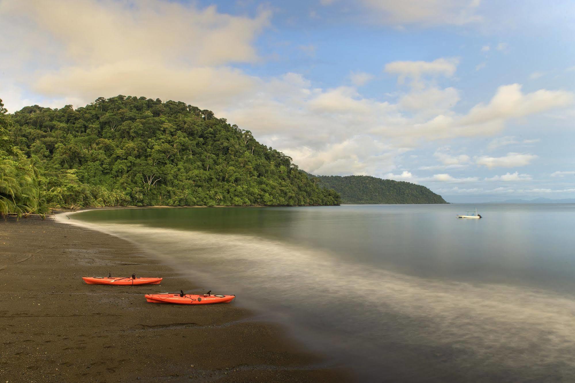 Playa Nicuesa Rainforest Eco Sanctuary Golfito Exterior foto